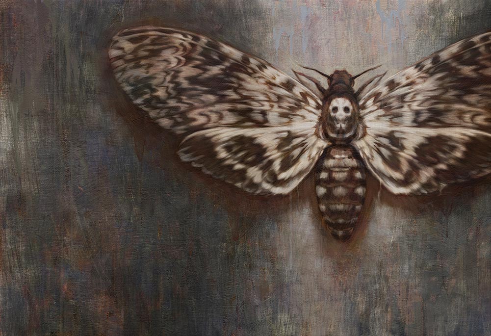 Suntup Editions Announces The Publication of The Limited Edition Book